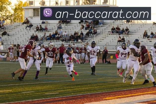 百家乐官网APP 封面图